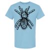 4800 - Best Value 100% Cotton T-Shirt Thumbnail