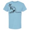 4800 - Best Value 100% Cotton T-Shirt Thumbnail