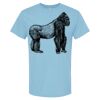 4800 - Best Value 100% Cotton T-Shirt Thumbnail
