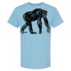 4800 - Best Value 100% Cotton T-Shirt Thumbnail
