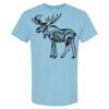 4800 - Best Value 100% Cotton T-Shirt Thumbnail