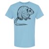 4800 - Best Value 100% Cotton T-Shirt Thumbnail