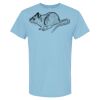 4800 - Best Value 100% Cotton T-Shirt Thumbnail