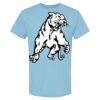 4800 - Best Value 100% Cotton T-Shirt Thumbnail