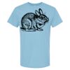 4800 - Best Value 100% Cotton T-Shirt Thumbnail