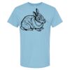 4800 - Best Value 100% Cotton T-Shirt Thumbnail