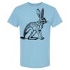4800 - Best Value 100% Cotton T-Shirt Thumbnail