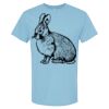 4800 - Best Value 100% Cotton T-Shirt Thumbnail