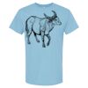 4800 - Best Value 100% Cotton T-Shirt Thumbnail