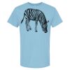 4800 - Best Value 100% Cotton T-Shirt Thumbnail