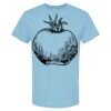 4800 - Best Value 100% Cotton T-Shirt Thumbnail