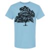 4800 - Best Value 100% Cotton T-Shirt Thumbnail