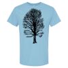 4800 - Best Value 100% Cotton T-Shirt Thumbnail