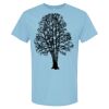 4800 - Best Value 100% Cotton T-Shirt Thumbnail