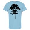 4800 - Best Value 100% Cotton T-Shirt Thumbnail
