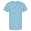 4800 - Best Value 100% Cotton T-Shirt Thumbnail