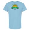 4800 - Best Value 100% Cotton T-Shirt Thumbnail