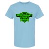 4800 - Best Value 100% Cotton T-Shirt Thumbnail
