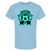 4800 - Best Value 100% Cotton T-Shirt Thumbnail