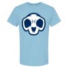 4800 - Best Value 100% Cotton T-Shirt Thumbnail