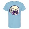 4800 - Best Value 100% Cotton T-Shirt Thumbnail