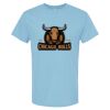 4800 - Best Value 100% Cotton T-Shirt Thumbnail