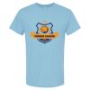 4800 - Best Value 100% Cotton T-Shirt Thumbnail