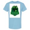 4800 - Best Value 100% Cotton T-Shirt Thumbnail