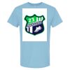 4800 - Best Value 100% Cotton T-Shirt Thumbnail