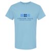 4800 - Best Value 100% Cotton T-Shirt Thumbnail