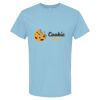 4800 - Best Value 100% Cotton T-Shirt Thumbnail