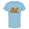 4800 - Best Value 100% Cotton T-Shirt Thumbnail