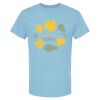 4800 - Best Value 100% Cotton T-Shirt Thumbnail