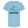 4800 - Best Value 100% Cotton T-Shirt Thumbnail