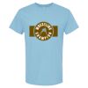 4800 - Best Value 100% Cotton T-Shirt Thumbnail