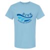4800 - Best Value 100% Cotton T-Shirt Thumbnail