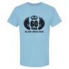 4800 - Best Value 100% Cotton T-Shirt Thumbnail