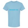 4800 - Best Value 100% Cotton T-Shirt Thumbnail