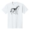 PC450 - Port and Company Fan Favorite Tee PC450 - Port and Company Fan Favorite Tee Thumbnail