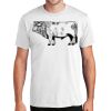 PC450 - Port and Company Fan Favorite Tee  Thumbnail