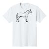 PC450 - Port and Company Fan Favorite Tee  Thumbnail