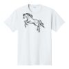 PC450 - Port and Company Fan Favorite Tee  Thumbnail