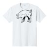 PC450 - Port and Company Fan Favorite Tee  Thumbnail