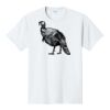 PC450 - Port and Company Fan Favorite Tee  Thumbnail