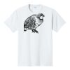 PC450 - Port and Company Fan Favorite Tee  Thumbnail