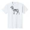 PC450 - Port and Company Fan Favorite Tee  Thumbnail