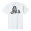PC450 - Port and Company Fan Favorite Tee  Thumbnail