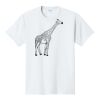 PC450 - Port and Company Fan Favorite Tee PC450 - Port and Company Fan Favorite Tee Thumbnail