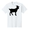 PC450 - Port and Company Fan Favorite Tee PC450 - Port and Company Fan Favorite Tee Thumbnail