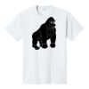 PC450 - Port and Company Fan Favorite Tee PC450 - Port and Company Fan Favorite Tee Thumbnail